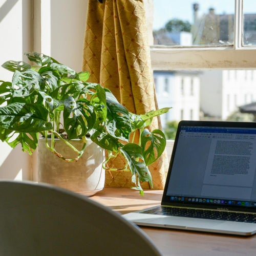 Grønne planter til kontoret